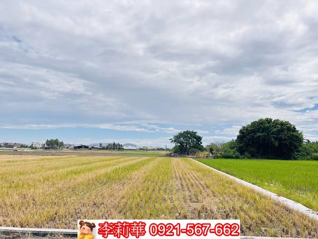 高雄橋頭農地-7
