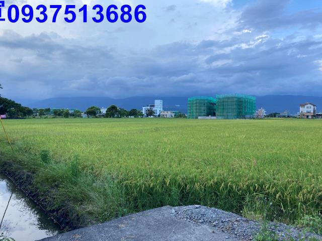 宜蘭壯圍農地-1