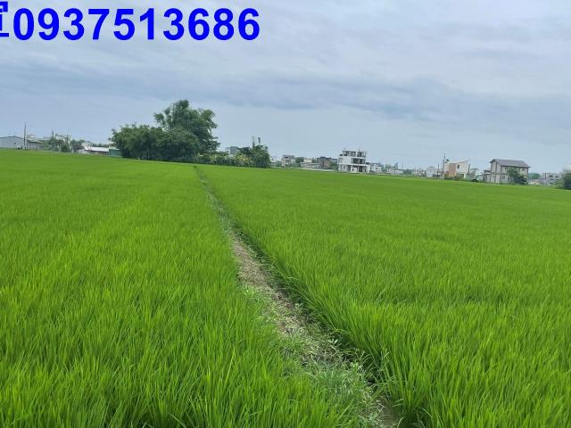 宜蘭礁溪農地-2