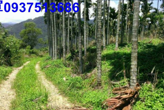 宜蘭員山農地-7