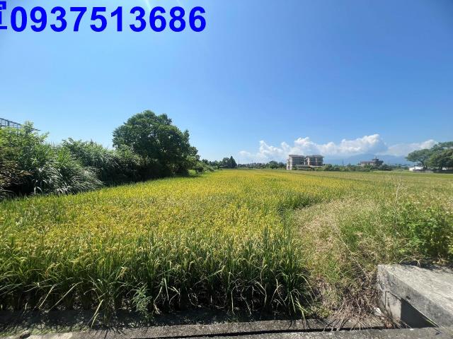 宜蘭員山農地-4