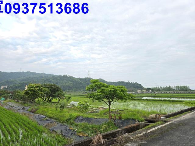 員山農地-14