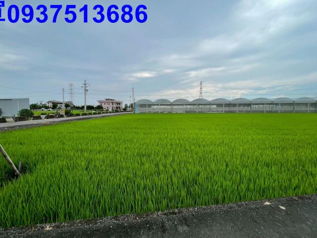 三星農地-6