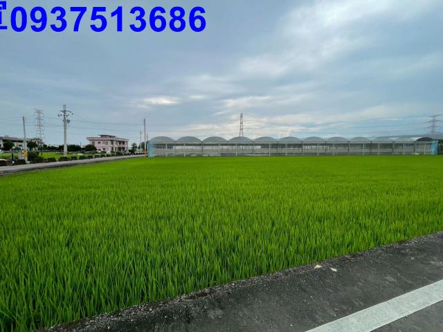 三星農地-7
