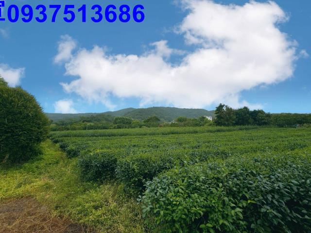 冬山農地-13