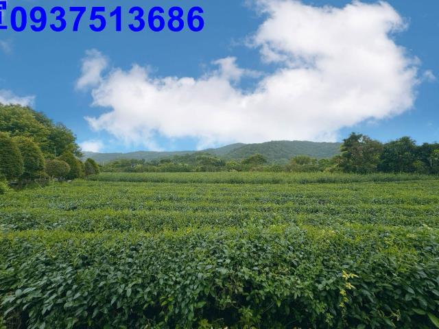 冬山農地-2