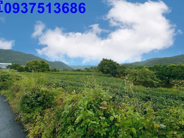 冬山農地-5