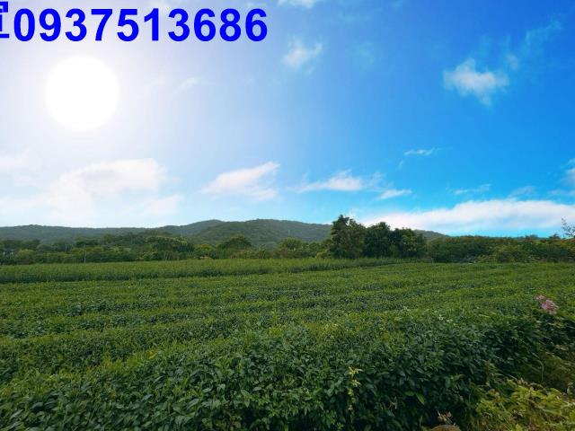 冬山農地-6