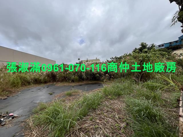 大溪工業地-3