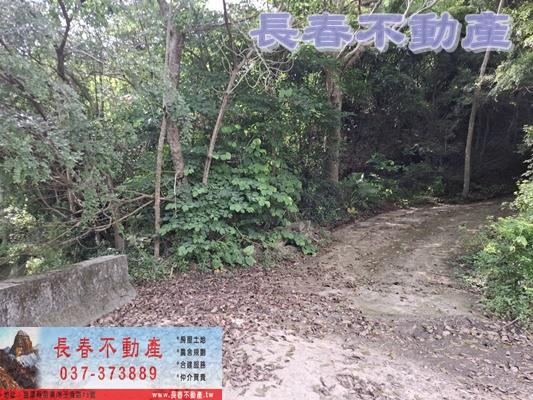 苗栗頭屋農地-4