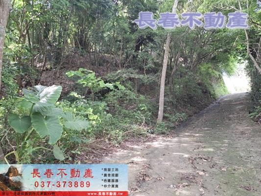 苗栗頭屋農地-5
