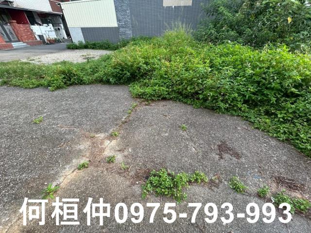 苗栗銅鑼農地-5