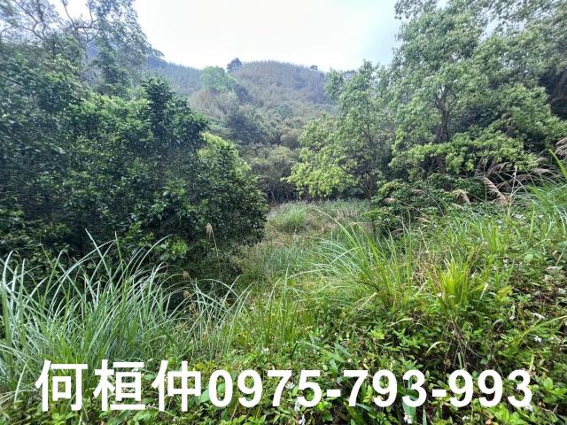 苗栗銅鑼休閒地-1