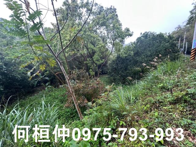 苗栗銅鑼休閒地-3