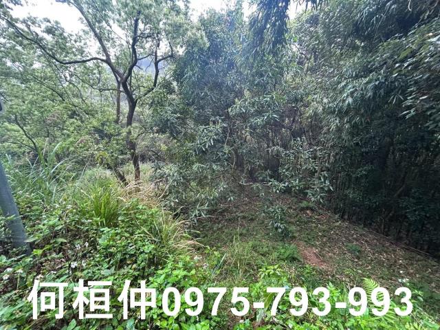 苗栗銅鑼休閒地-5