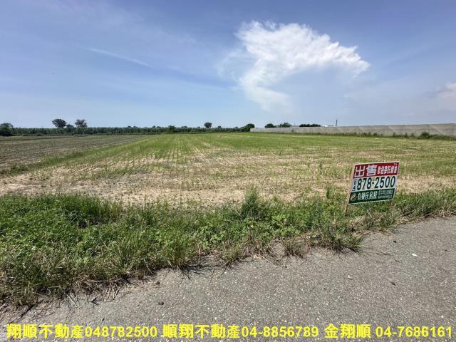 大城農地-1