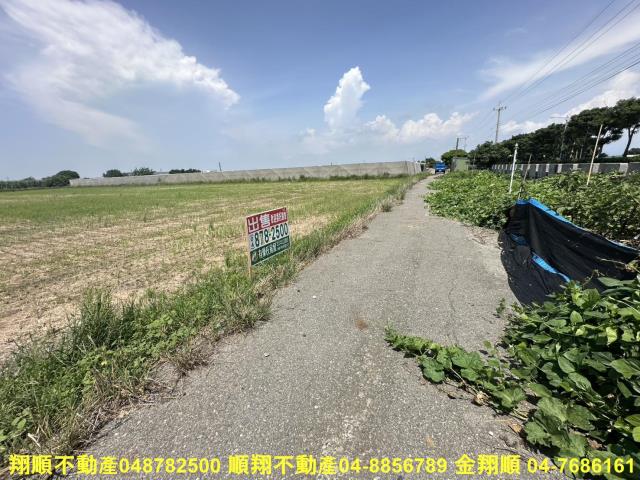 大城農地-2