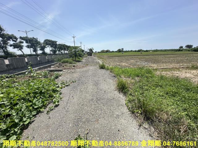 大城農地-4