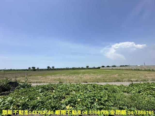 大城農地-7