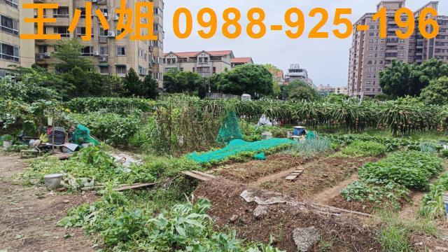 桃園農地-9