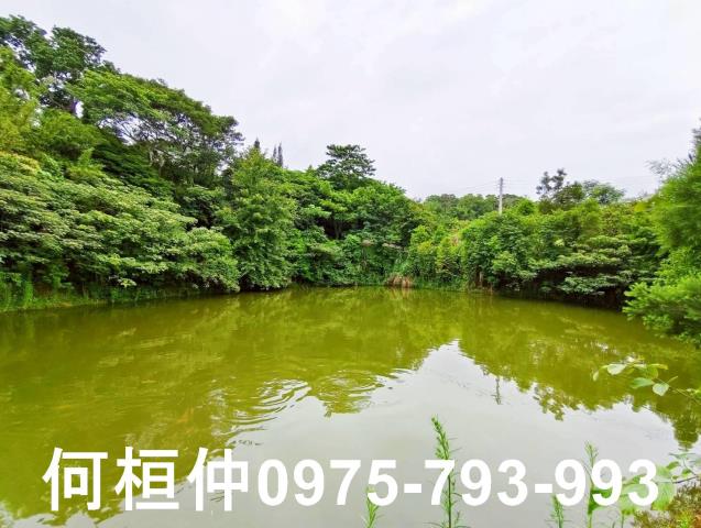 苗栗苗栗市農地-10