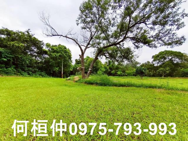 苗栗苗栗市農地-3