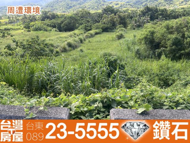 台東農地-11