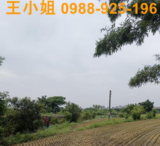 桃園農地-4