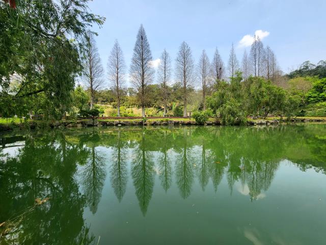 新竹北埔農地-10