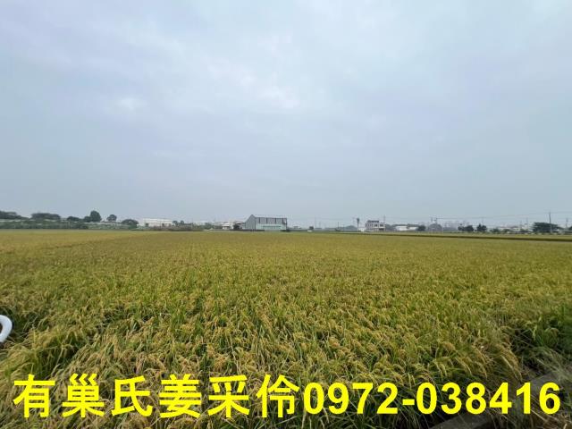 嘉義民雄農地-9