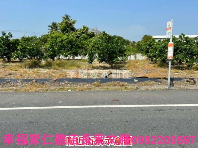 麻豆農地-8