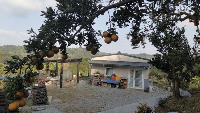 新竹峨眉農地-15