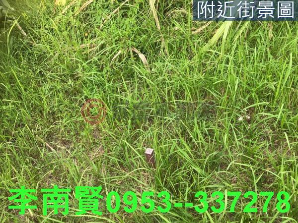 台南農地-1