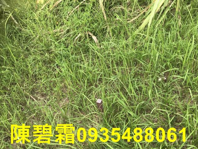 台南農地-3