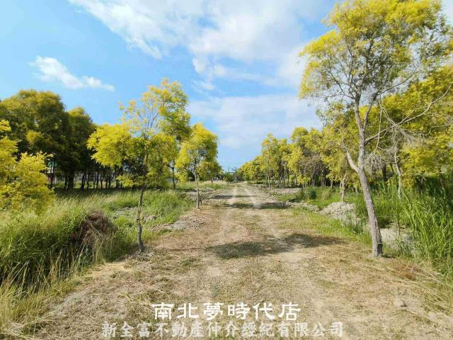 台南六甲農地-6