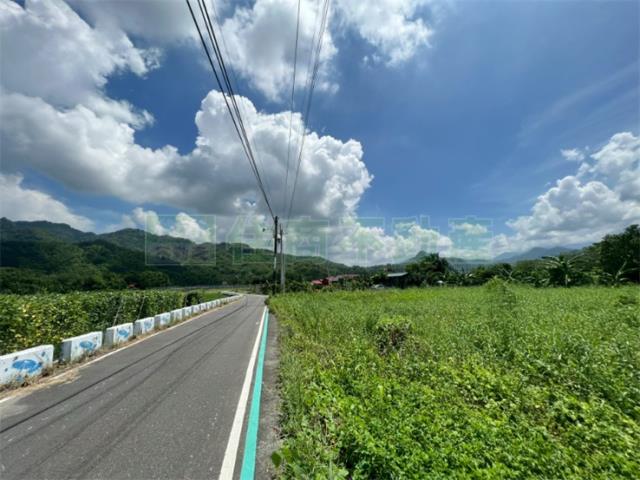 高雄美濃農地-2