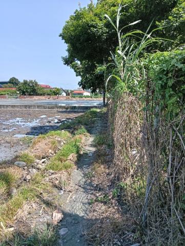 彰化二水農地-6