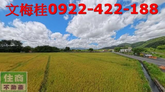 員山農地-3
