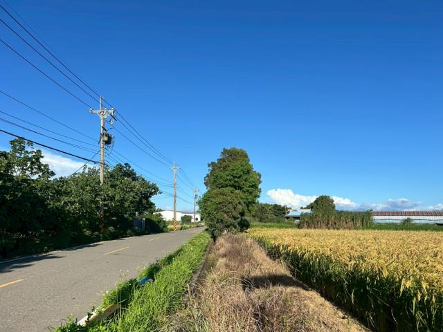 新屋農地-7