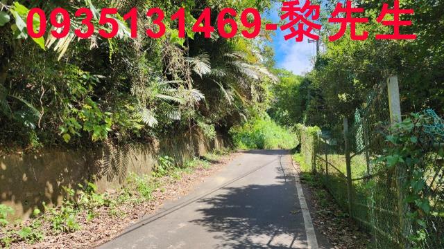 新竹林地-1