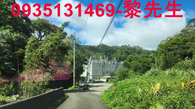 新竹林地-11