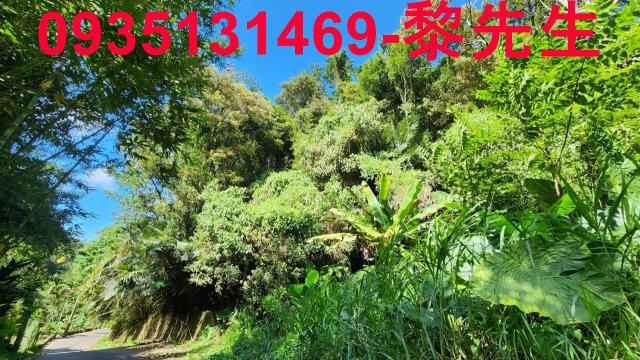 新竹林地-4