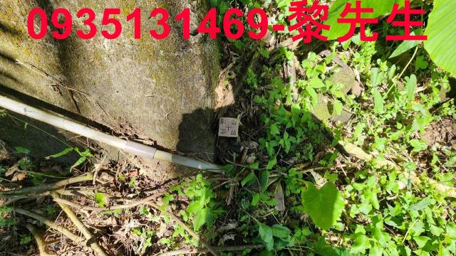 新竹林地-5