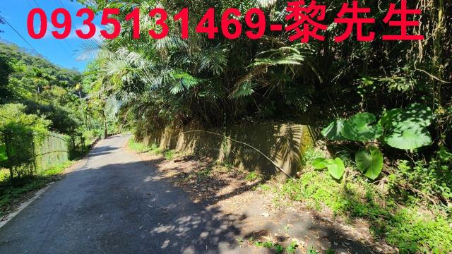 新竹林地-6