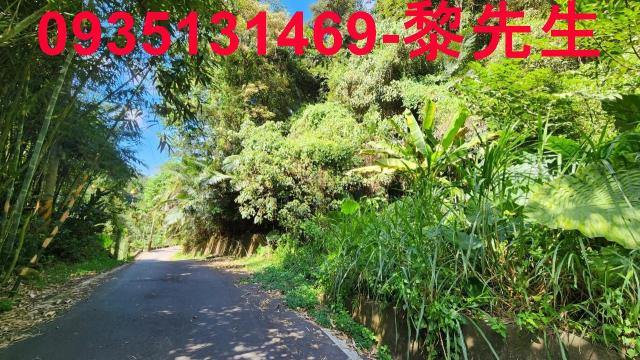新竹林地-8