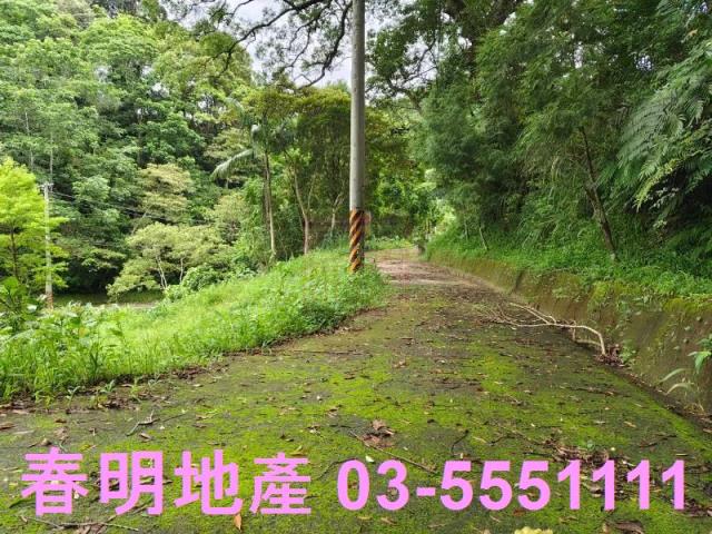 苗栗南庄林地-9