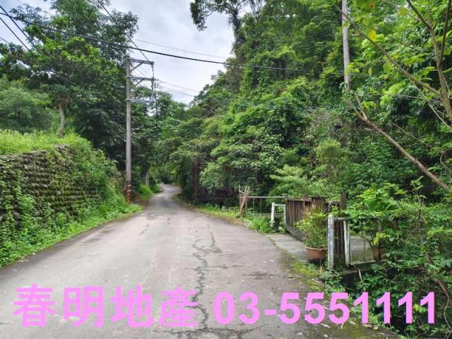 苗栗南庄林地-4