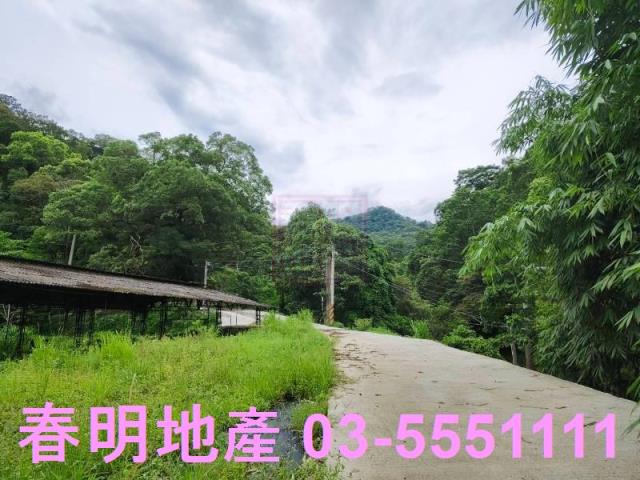苗栗南庄林地-5