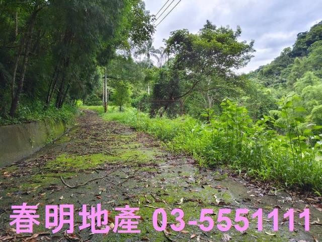 苗栗南庄林地-8
