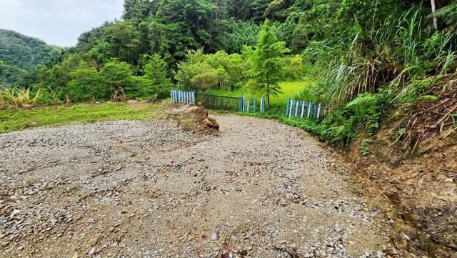 新竹竹東農地-12